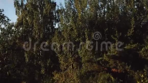 无人机在绿色的树木上移动以揭示绚丽的秋天湖和现代未来主义城市建筑的天际线景观视频的预览图