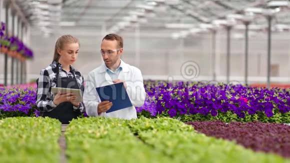 一群农业工人在温室里谈论着一排新鲜的有机植物视频的预览图