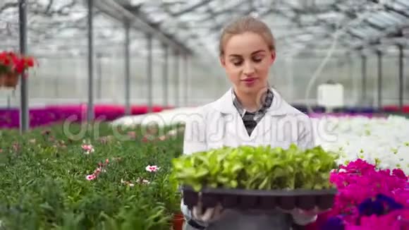 微笑着女生物学研究员站在温室里拿着植物看镜头视频的预览图