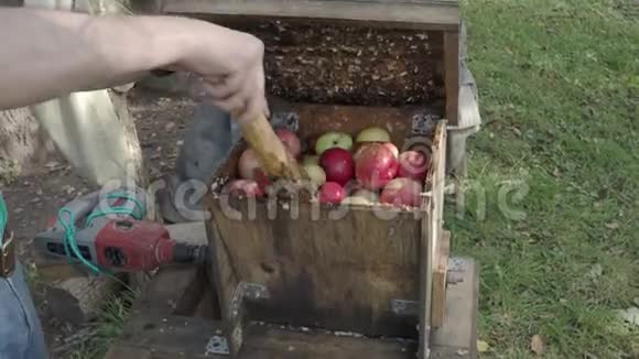 在挤压前将新鲜苹果在研磨箱中打碎视频的预览图