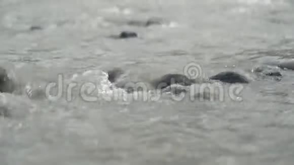 水流穿过石头视频的预览图