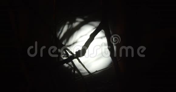被风吹动的树枝用月亮在漆黑的夜空中剪影视频的预览图