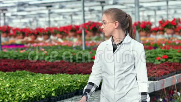 穿制服的快乐女农业工程师在现代温室中拍照视频的预览图