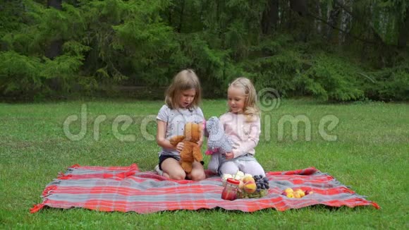 两个小女孩在野餐时玩玩具视频的预览图