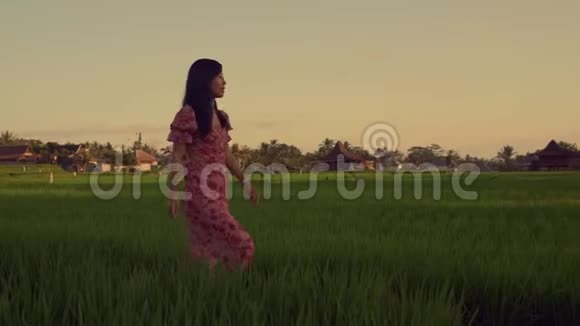 穿着时髦的夏装走在稻田里的年轻美丽而快乐的亚裔中国女人身上视频的预览图