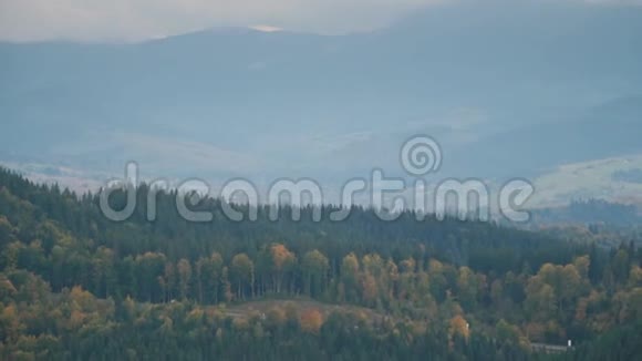 森林覆盖的山视频的预览图