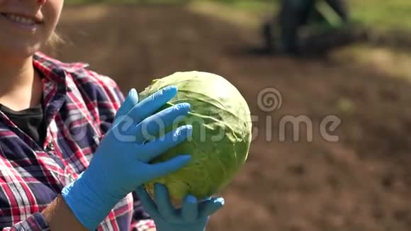 农夫正拿着一棵卷心菜在田里一辆工作拖拉机的背景上视频的预览图