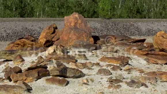 美丽的棕色石头大小不同的夏季阳光下采石场和绿色森林背景库存录像岩石视频的预览图
