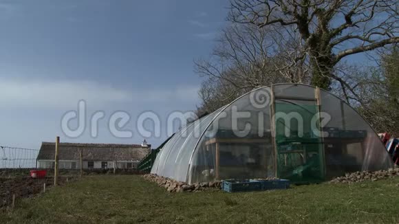 猪和家旁边的帐篷温室视频的预览图
