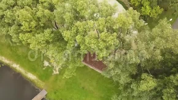夏季森林公园的鸟瞰湖附近的木制码头库存录像飞过绿树和水面视频的预览图