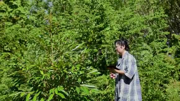 聪明的农民农业榴莲种植园视频的预览图