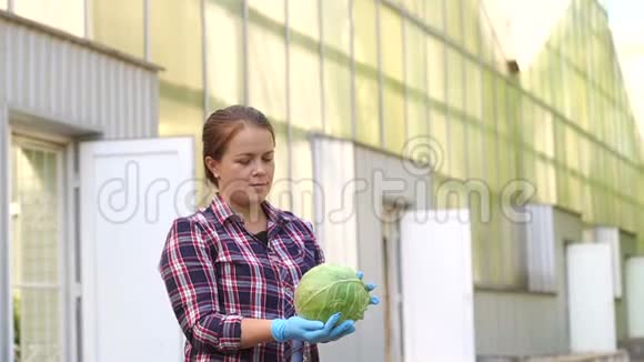 微笑的女园丁持着在温室外收获的卷心菜的肖像视频的预览图