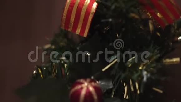 特写美丽的红色圣诞树装饰挂在毛皮树和红色球概念五彩缤纷视频的预览图