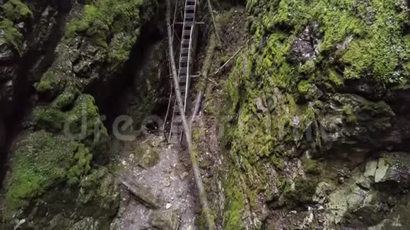 夏天穿过绿色森林深处峡谷的危险小径库存录像陡峭的顶部鸟瞰图视频的预览图