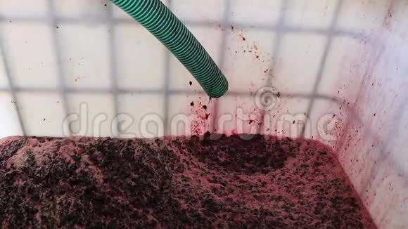 酿酒用葡萄收获在葡萄破碎机内熔化的红葡萄在发酵罐中以果汁的形式流动视频的预览图