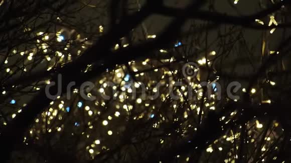 在黑暗中树树枝的特写背景上模糊的圣诞黄灯概念美丽美丽视频的预览图