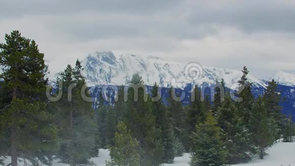 山坡上被狂风吹过的雪视频的预览图