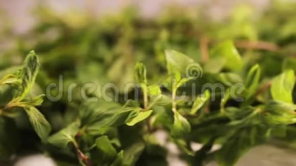 薄荷茶中的草药配方视频的预览图