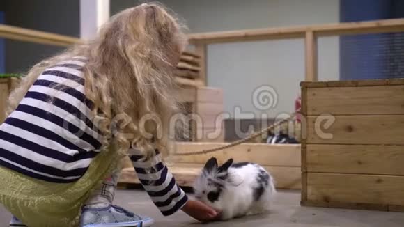 金发小女孩在动物园喂兔子幼儿男孩像兔子一样跳视频的预览图