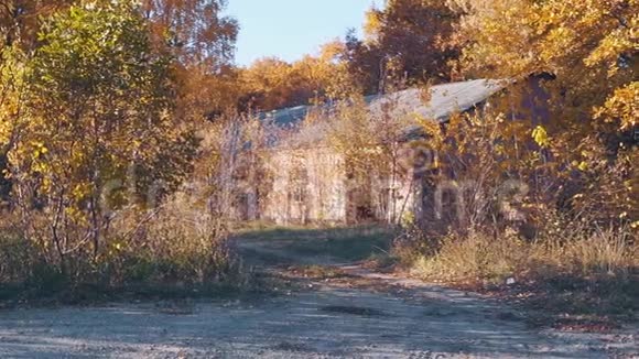 森林里一座废弃的房子视频的预览图