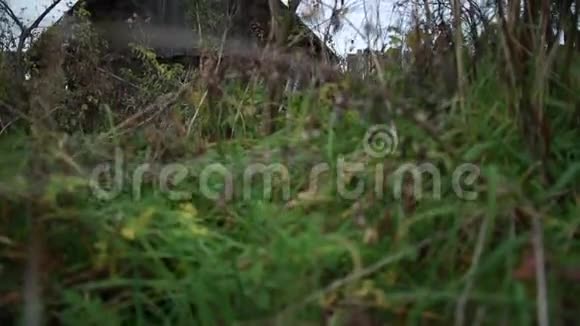 一座废弃的旧木屋长满了草一个摇摇欲坠的篱笆一根黑色的原木视频的预览图