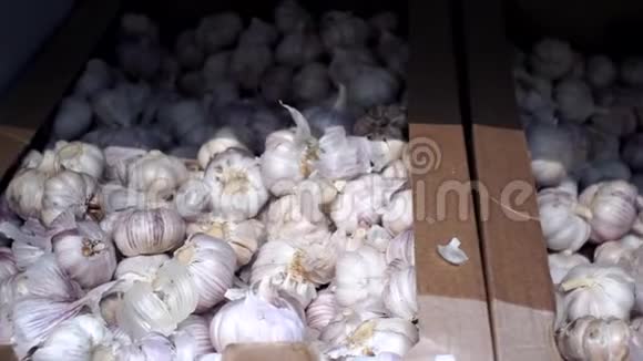市场柜台上卖大蒜卖蔬菜视频的预览图