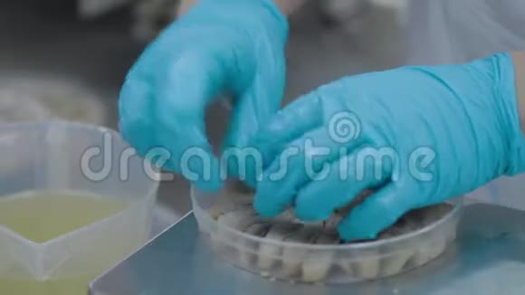 工厂生产的鱼在塑料容器中分类鱼片视频的预览图