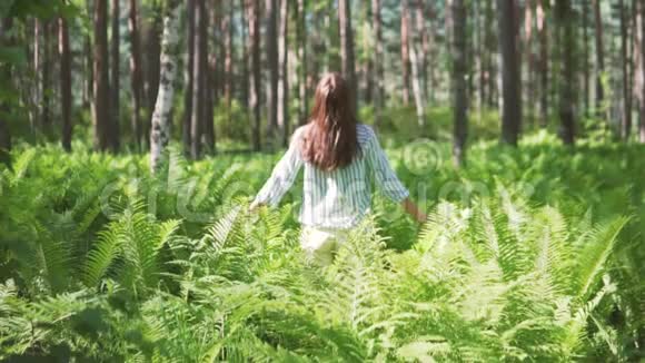 早上好一个年轻的女人正在森林里的蕨类植物中冥想视频的预览图