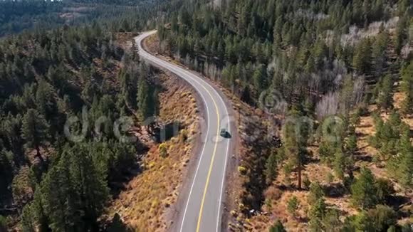 车辆行驶在A山口沥青蛇纹石道路上穿越松林视频的预览图