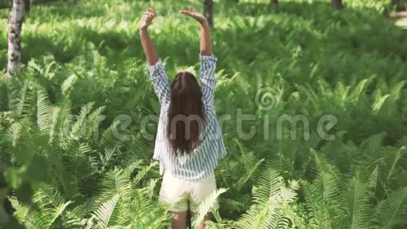 早上在野生森林里一位年轻女子举起双手伸手望向天空视频的预览图