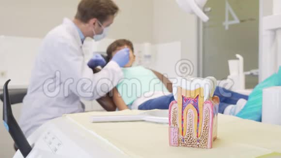 小男孩接受牙医检查有选择地关注牙齿模型视频的预览图