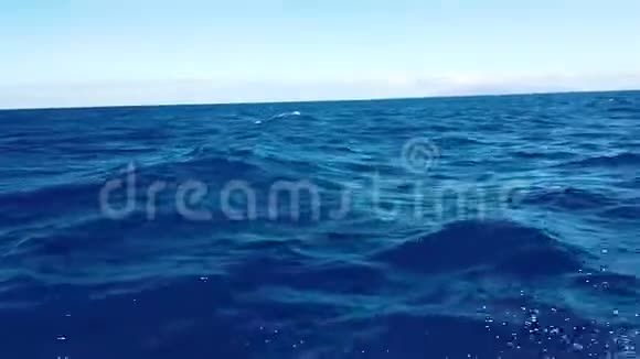 葡萄牙马迪利亚岛附近大西洋蓝色波浪的4K视频它是从一艘移动摩托艇上拍下来的视频的预览图