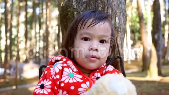 亚洲小女孩坐在椅子上和家人一起去松林露营户外活动的概念视频的预览图
