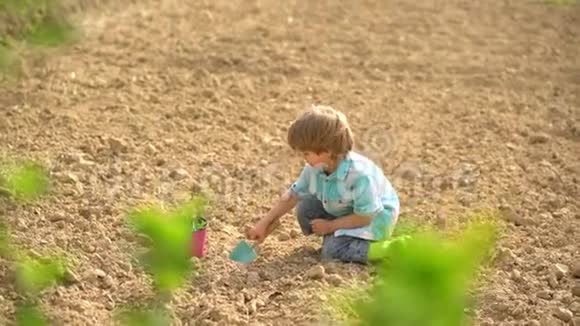 孩子们在农场的春天或夏天绽放乡村生活美国的农场生活年轻的农民小男孩视频的预览图