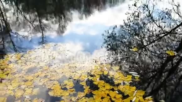 观浮在河面的黄色落叶蓝天映出白云和树木视频的预览图