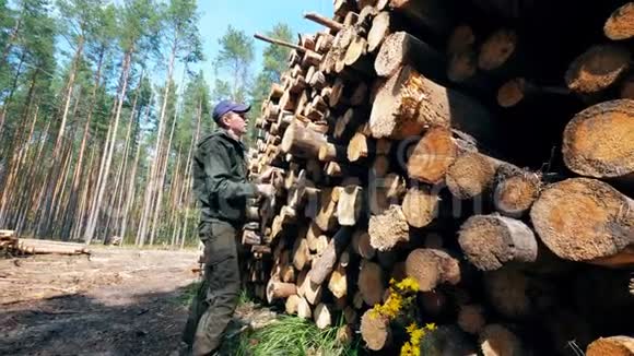 男工正在测量砍伐的木材视频的预览图