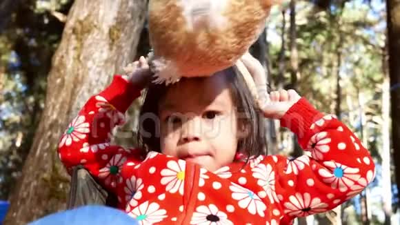 亚洲小女孩坐在椅子上和家人一起去松林露营户外活动的概念视频的预览图