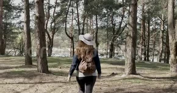 春天晴天针叶林中的女孩视频的预览图