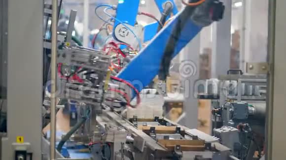 工厂机构正在制作纸箱包装现代工厂设备视频的预览图