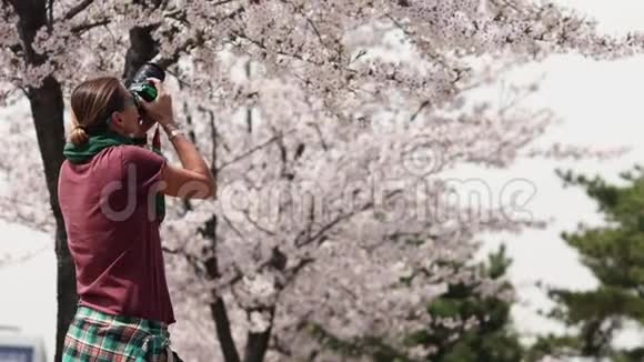白种人自由记者带着相机拍摄盛开的樱花视频的预览图