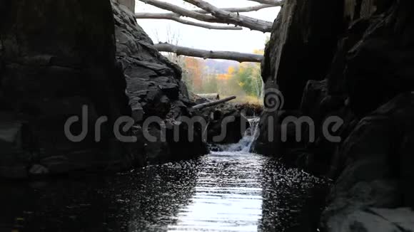 森林中河流的宁静景象视频的预览图