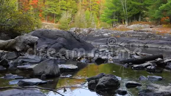 森林中河流的宁静景象视频的预览图