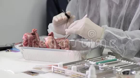 一名牙科实习生在猪的下巴上练习他技能牙医用一只猪的模型测试他的牙医技能视频的预览图