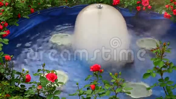 花园喷泉视频的预览图