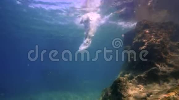 年轻漂亮的女孩在水下游泳在海洋中潜水视频的预览图