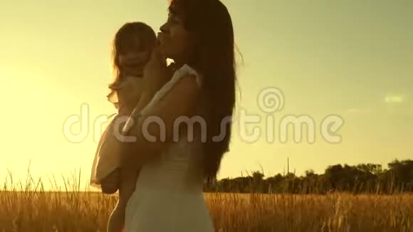 妈妈和女儿在日落时正在一片小麦成熟的田野里闲逛快乐的母亲一个小孩充满了视频的预览图