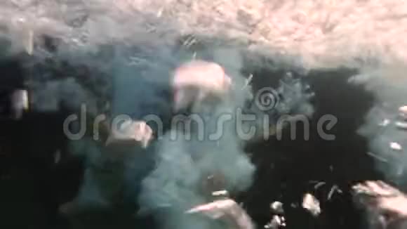 三个女孩沉浸在海底的气泡中视频的预览图