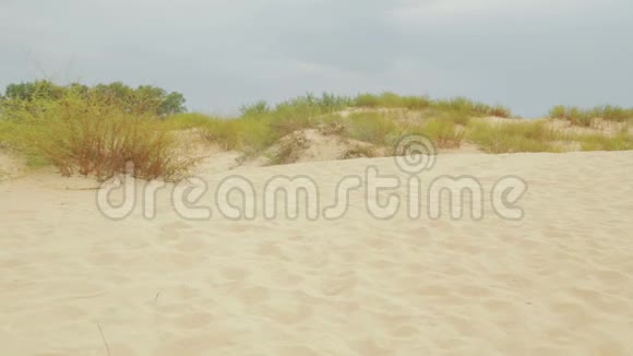 沙丘沙滩俯瞰蔚蓝的大海视频的预览图