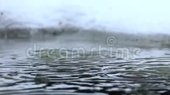 冬天雨水掉进冰坑里视频的预览图