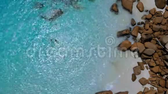 全景无人机俯瞰普拉斯林岛鸟瞰全景热带岛屿与水晶清水普拉斯林视频的预览图